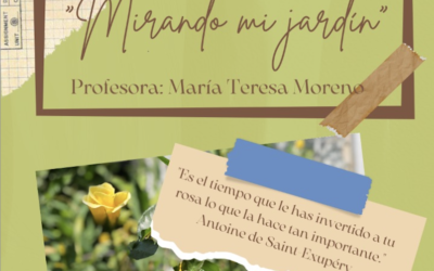 Taller «Mirando mi jardín»