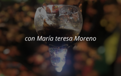 Taller «Mirando mi jardín»